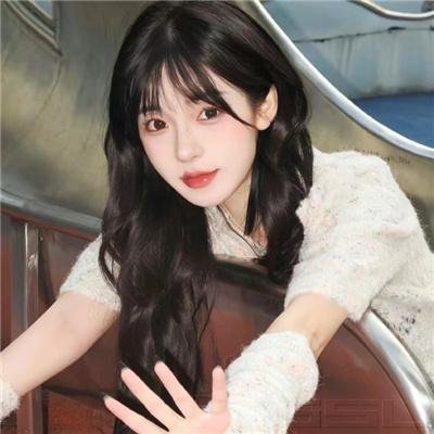 《恐龙》封面
